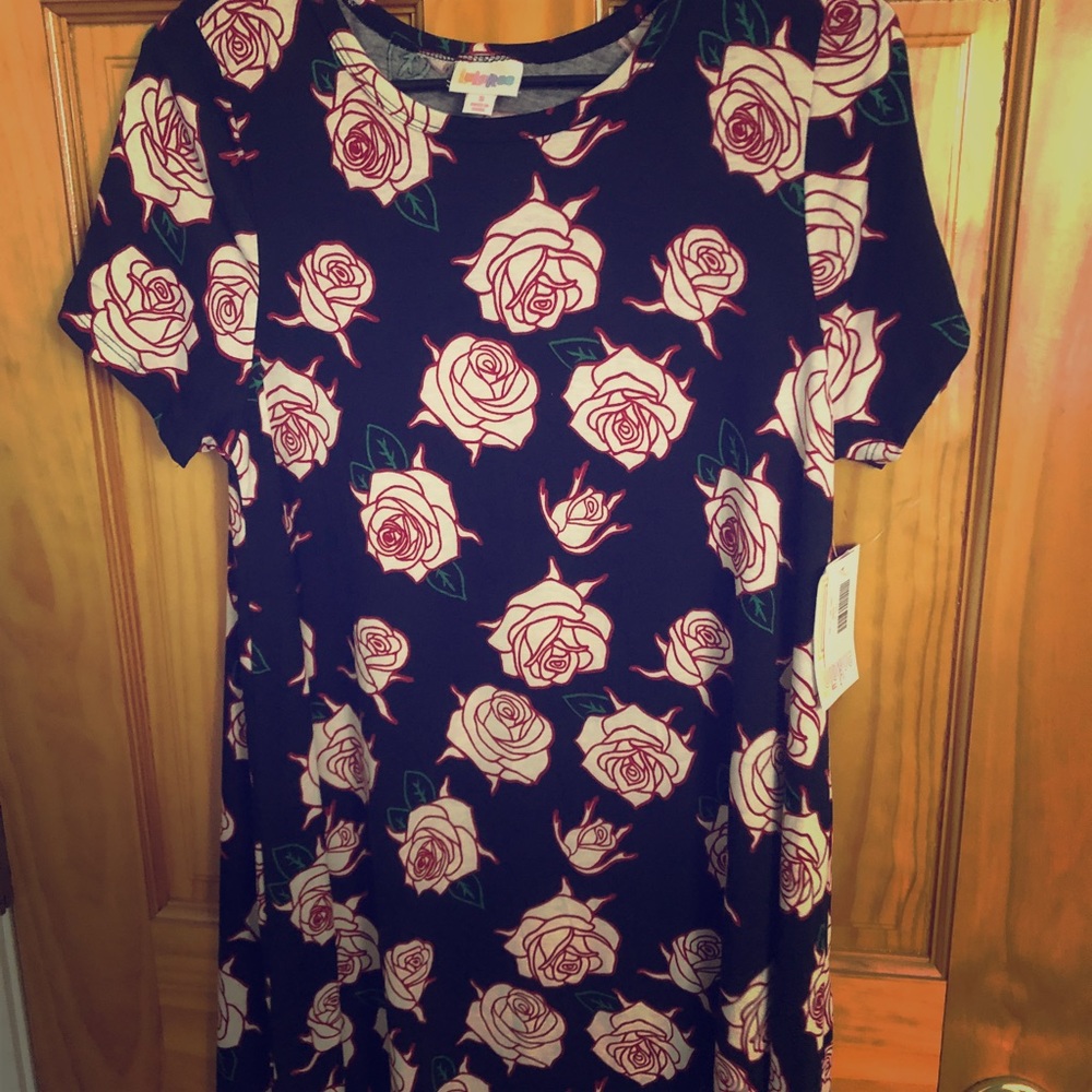 NWT Small LulaRoe Carly Dress